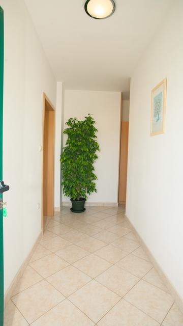 Unutrašnjost apartmana